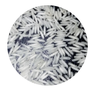 1121 Steam Basmati