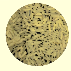 C9 Parboiled Rice