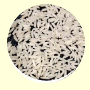 C9 White Rice